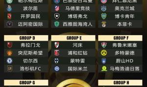 半岛体育官方网站-世俱杯冠军赔率：巴黎领跑曼城次席，皇马拜仁并列第3弗拉门戈第5