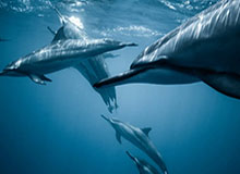 开云时代：用云端科技点亮生活的全新体验